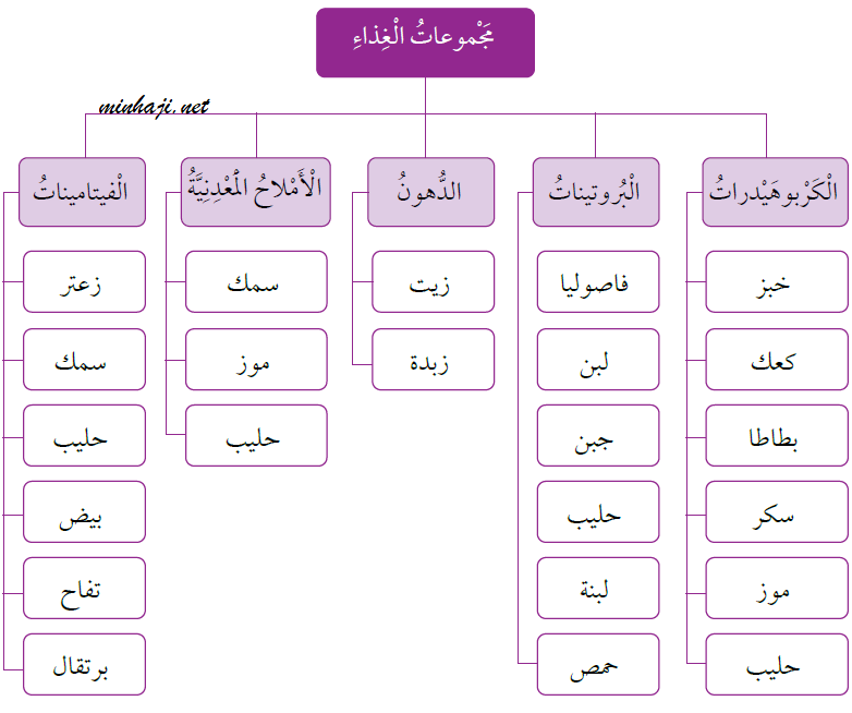 مجموعات الغذاء الرئيسة منهاجي